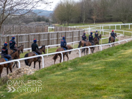 BP210325-7 - Ben Pauling Stable Visit